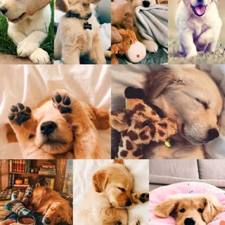 AWWWW