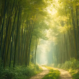 Bamboo Forest