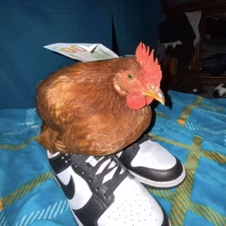 COOL CHICKEN