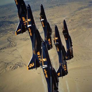 F11F-1 Tiger