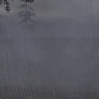 STALKER KORDON RAINY