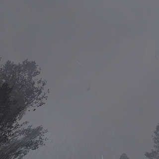 STALKER KORDON RAINY
