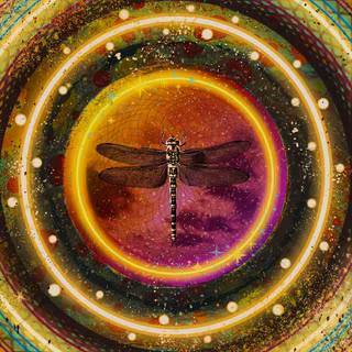 dark_dragonfly