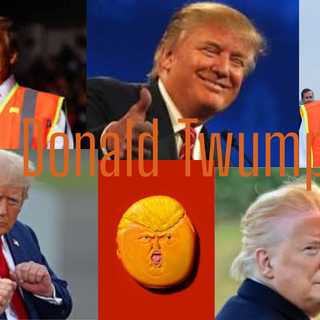 Donald Twump 
