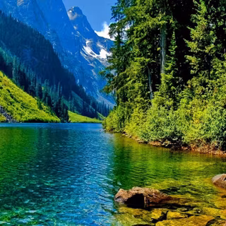 NATURE 4k river & forest wallpaper