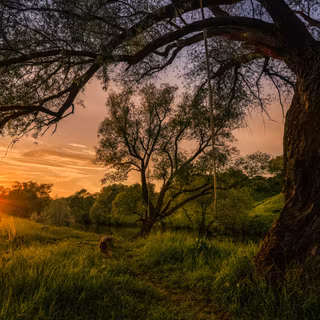 Beautiful early sunny summer morning landscape