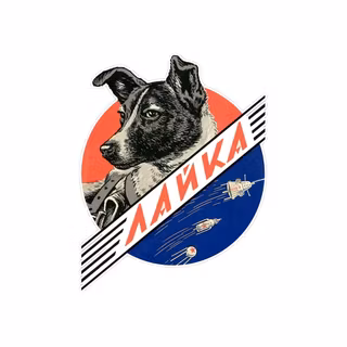 Laika 1st Dog in Space