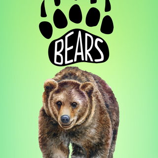 i love bears