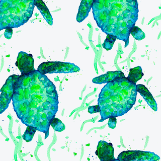 sea turtles