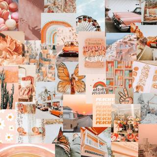 Cute Peachy Collage