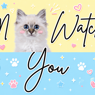 Cute cat