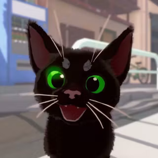 little kitty big city