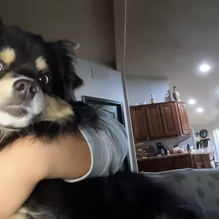 Puppyyyy! :3 