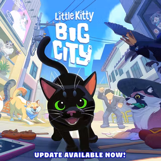 little kitty big city
