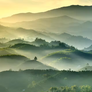 Misty Green Hills At Dawn Morning Mist Over The Emerald Hills