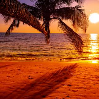 cute sunny beach