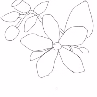 My flower still in work Im working on it so bare with me it’s not the best thing 