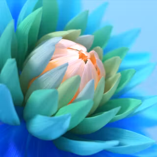 Colorful Flower Blue Background Blossom Bloom