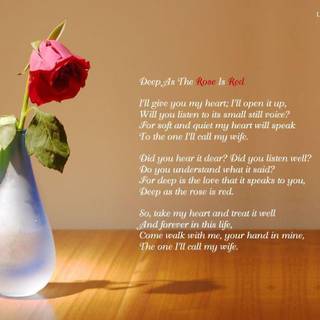 For my boyfriend