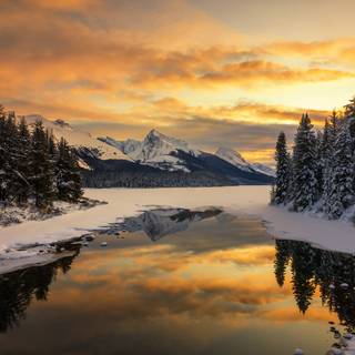 Beautiful nature