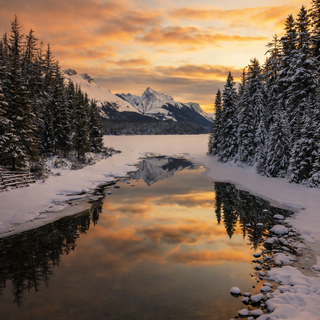 Beautiful nature
