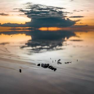 Beautiful nature