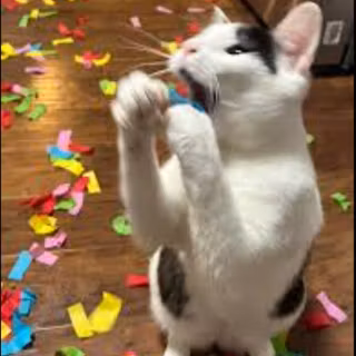 ITS THE LAST DAY OF SCHOOL!!!!!!!!!!!!!!!