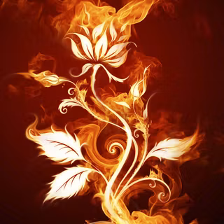 Red Plant in Fire on a Black Background