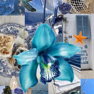 summer beach wallpaper 