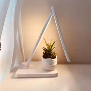 Cozy and cute plant