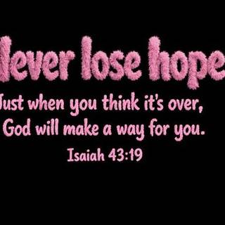 NEVER LOSE HOPE
