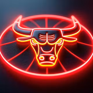 Chicago Bulls