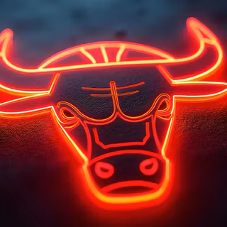 Chicago Bulls