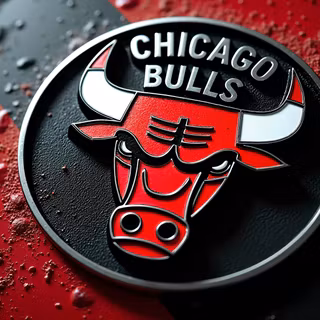 Chicago Bulls