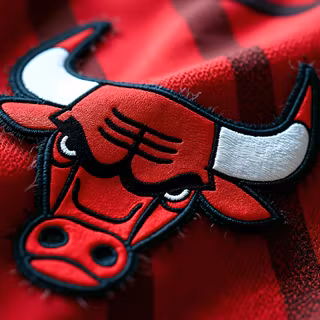 Chicago Bulls
