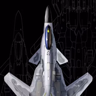 Fighter