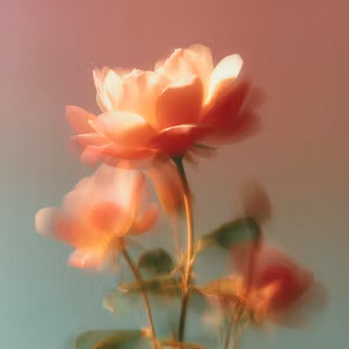 Rose Mac