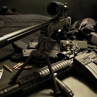 Gun