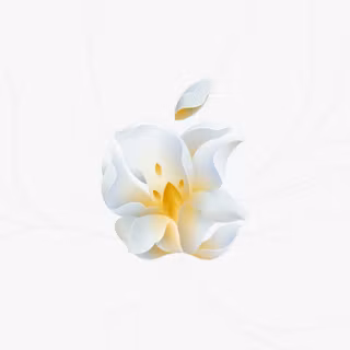 Apple JingAn Wallpaper Mac