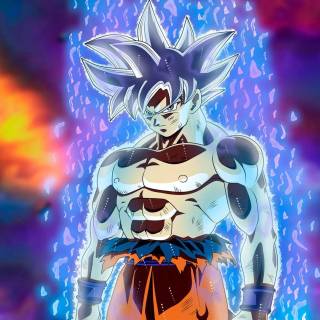 Goku r mastered  ultra Inc  from the top  wallpaper