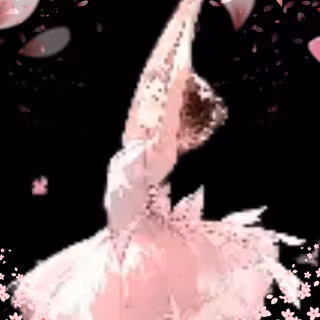 Pink Petal