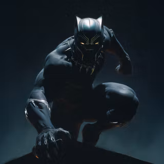 Black Panther He Fights Like A King