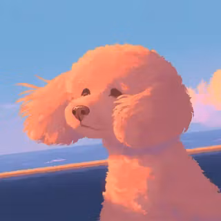 Poodle