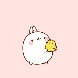 So cuttee