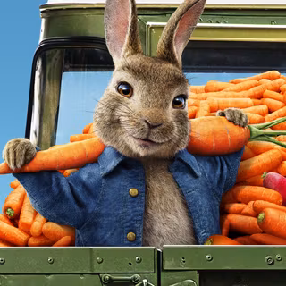 Peter Rabbit 2 The Runaway Movie