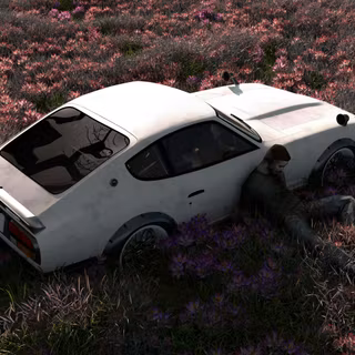 Abandoned Car In Flower Field