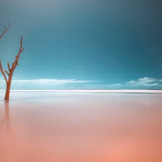 Infrared Mangrove Flooding at Ilha do Cardoso State Park