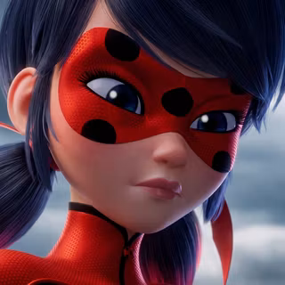Miraculous Ladybug Closeup
