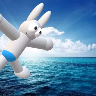 Fitt Bunny On Beach