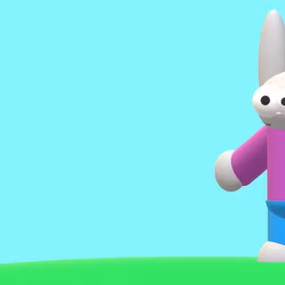 Fitt Bunny